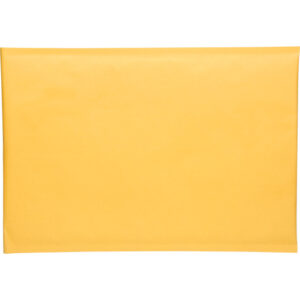 Bubble Shipping Mailer