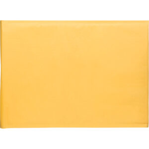 Bubble Shipping Mailer